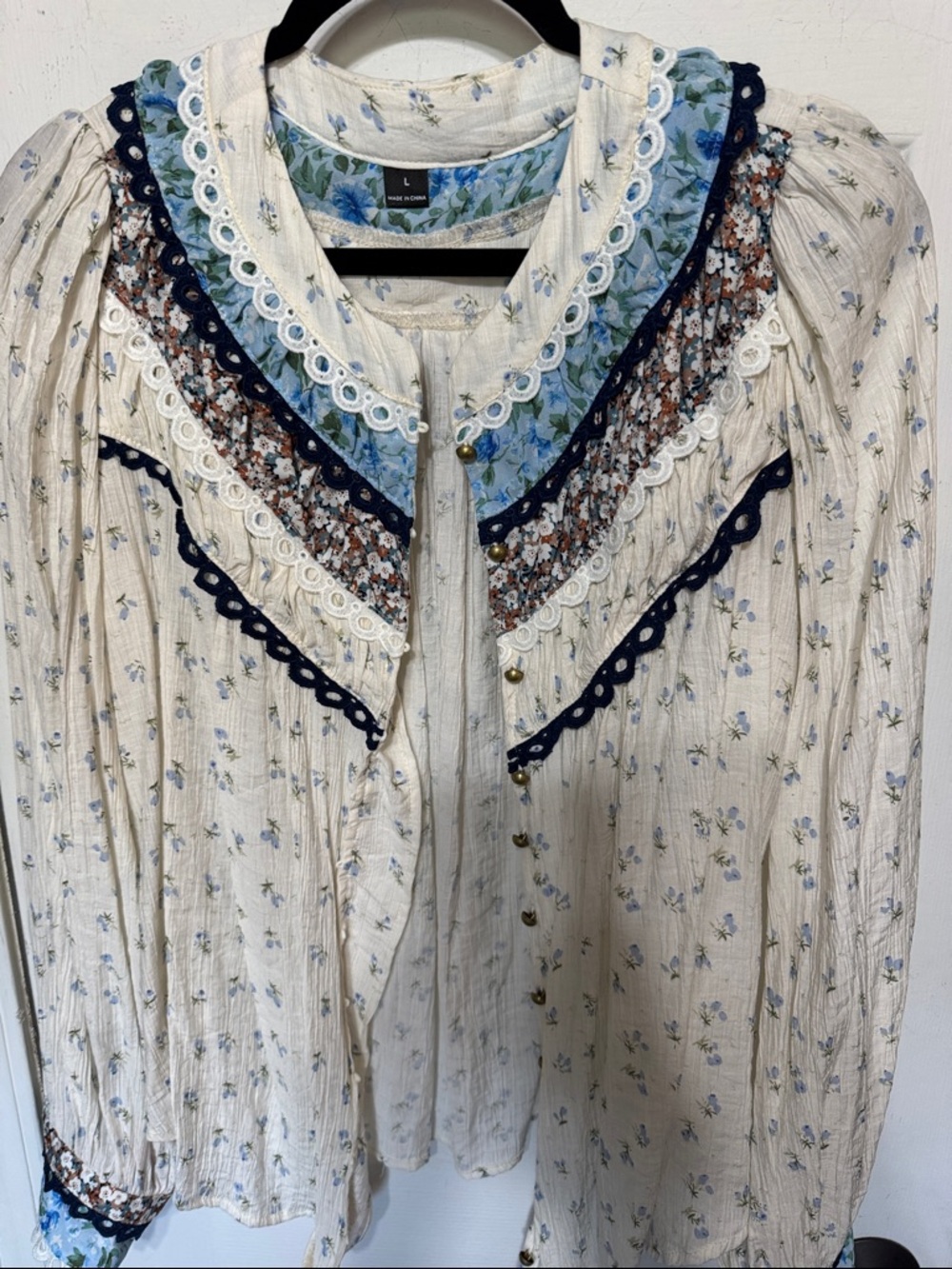 Cream Floral Lace-Trim Blouse with Blue Accents
